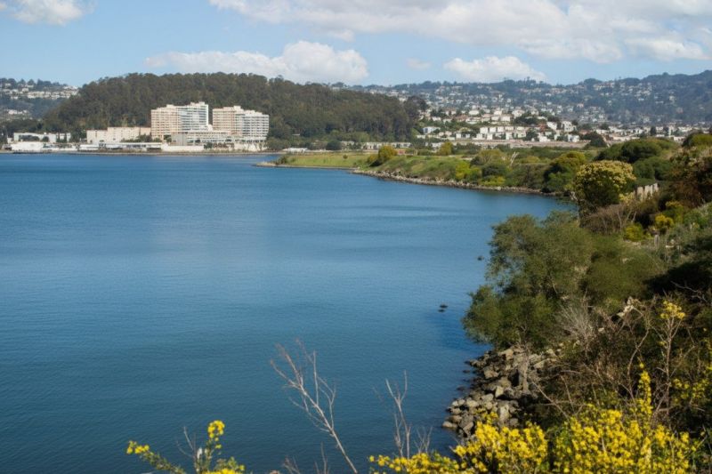 Albany, CA